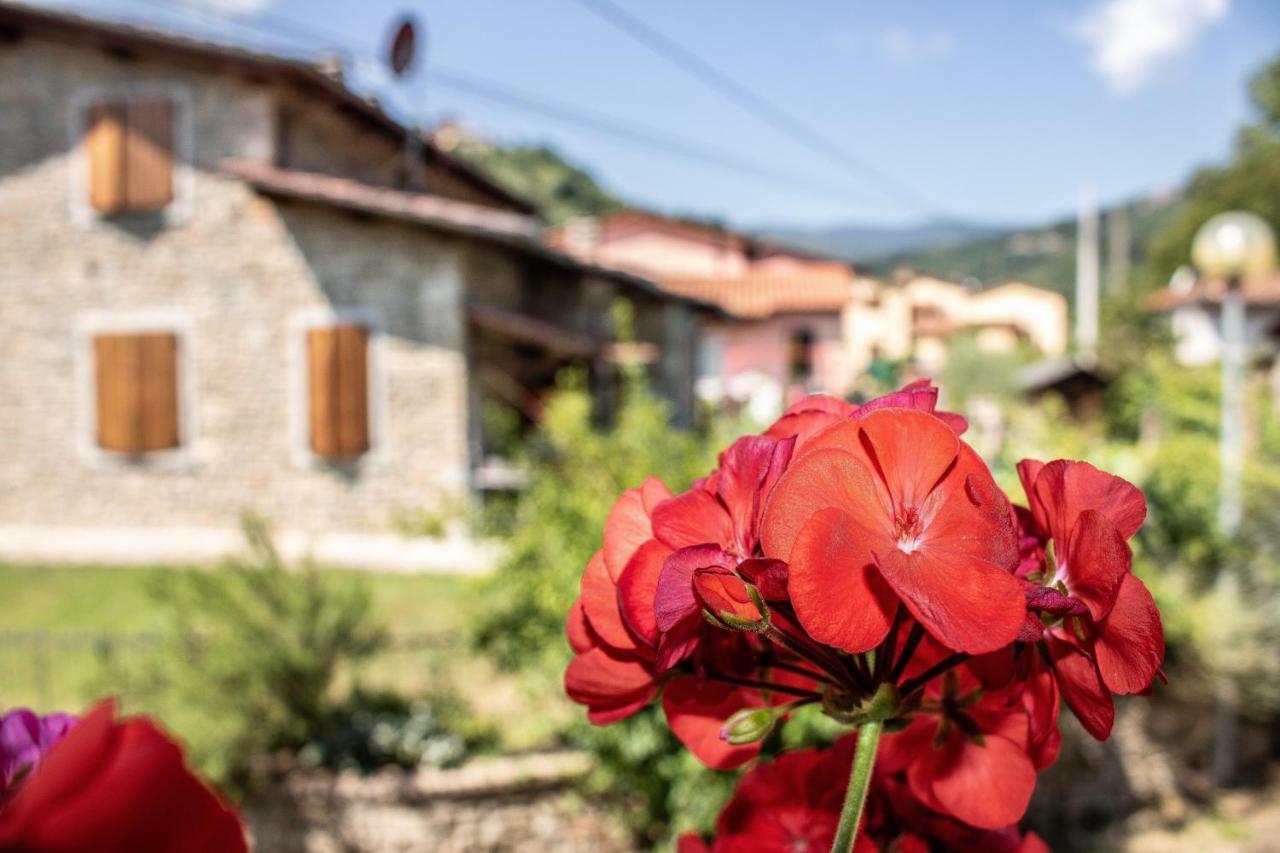 B&B La Casa D'Artista Ortignano Raggiolo Extérieur photo