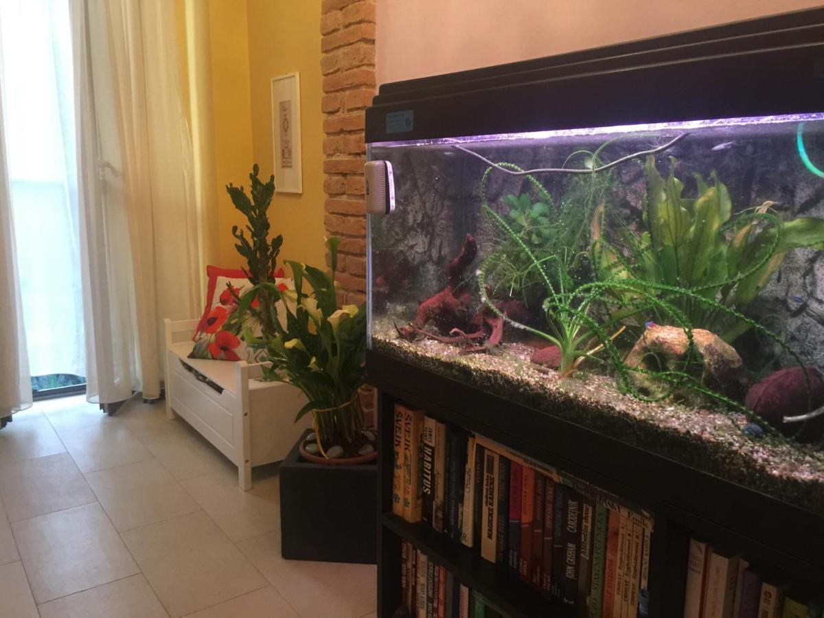B&B La Casa D'Artista Ortignano Raggiolo Extérieur photo